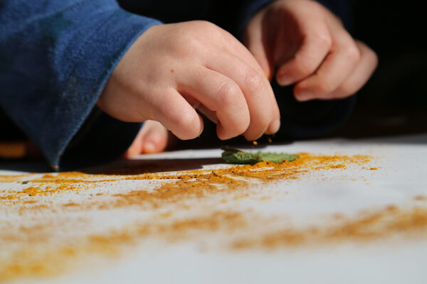 NATUURLIJKE GEUREN EN KLEUREN • 25 maart • vanaf 4 jaar (volzet)