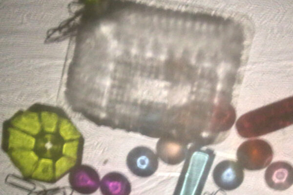 LABO DAG • LICHT EN DONKER • 30 december • vanaf 6 jaar